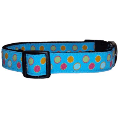 Blue Dot Buckle Collar