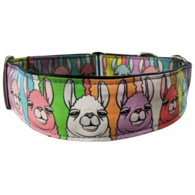 Rainbow Llama Collar